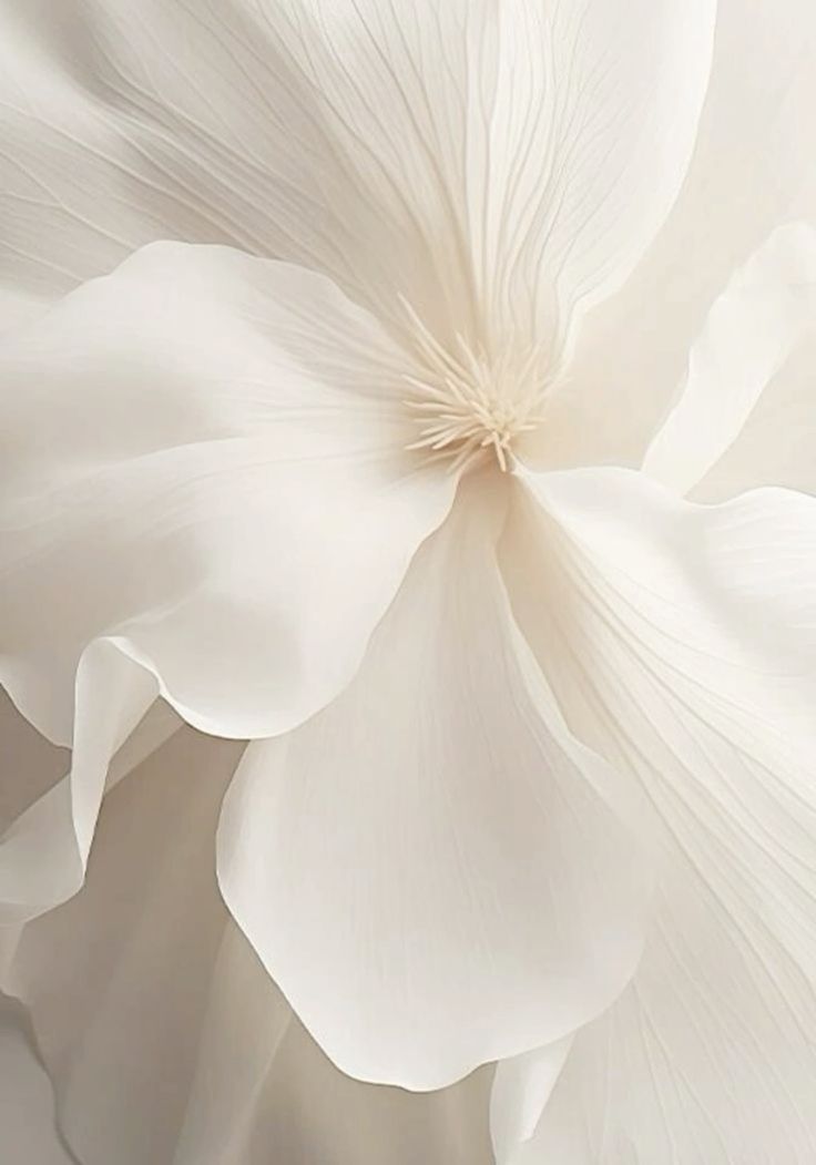 Musiqi Sənayesində Uzunmüddətli Qazanclar