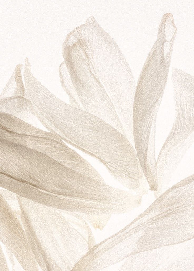 Ən Yaxşı Yeni Təchizatlar