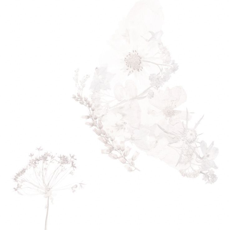  Festival və Konsertlərin Rolunun Artması