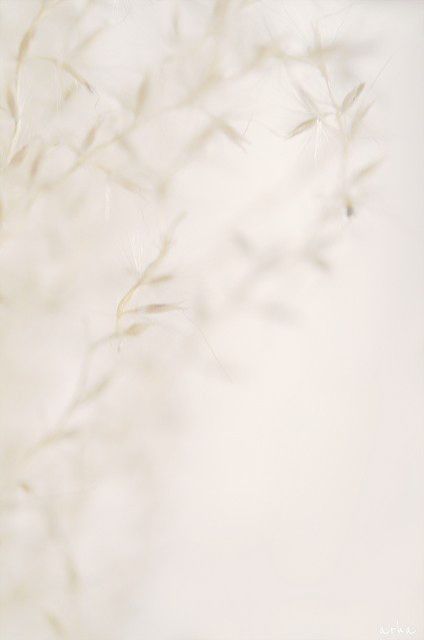 Musiqi Saytlarında Qlobal İnnovasiyalar