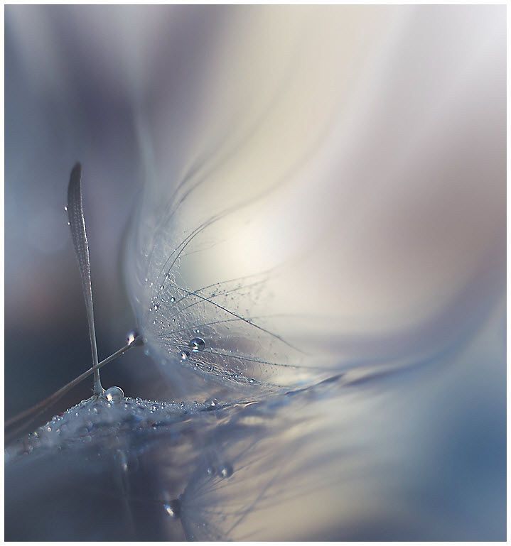  Qloballaşma və Musiqi