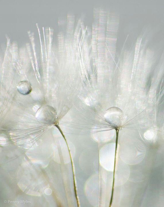 Hibrid Musiqi Janrlarının Yüksəlişi