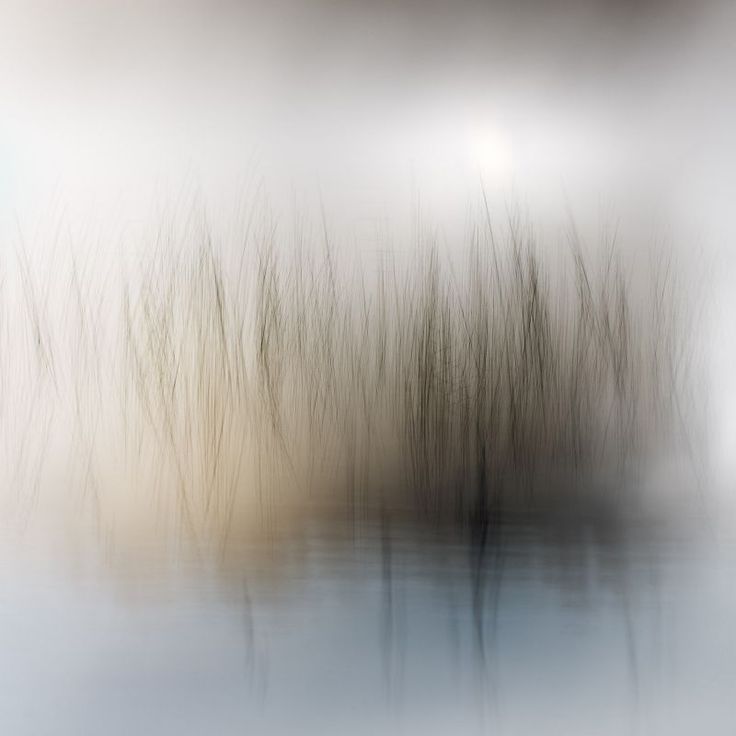 2024-ün İlk Böyük Musiqi Yeniliy