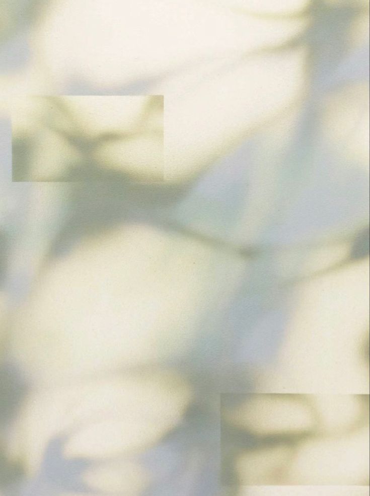 Azərbaycanlı Artistlərin Qlobal Arenada Sərgilədiyi Yaradıcı İşlər