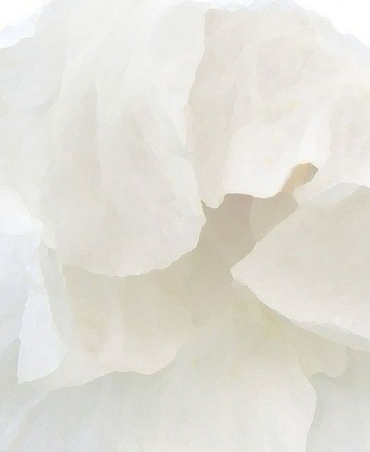 Rəqəmsal Musiqi Platformalarında Video Məzmununun Rolu