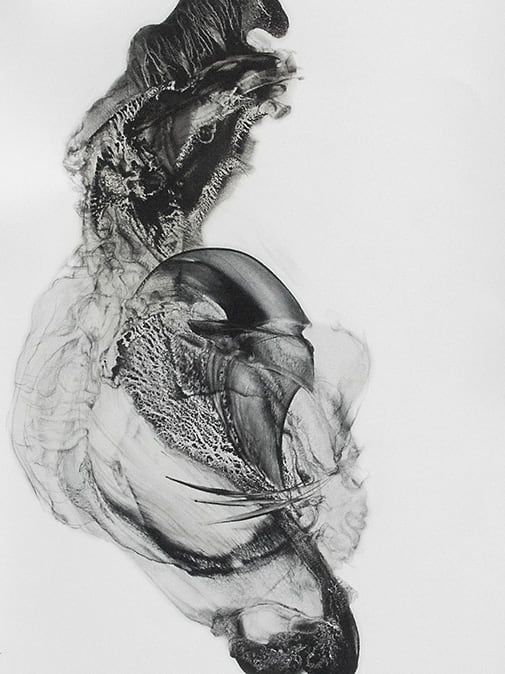  Rəqəmsal İnqilabın Yeni Üfüqləri