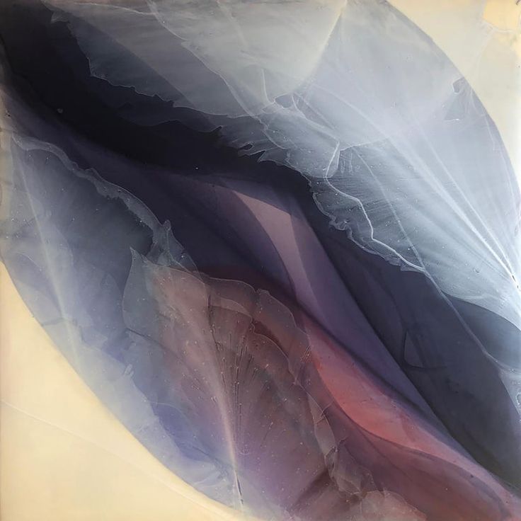 Maqnitə Oxşar Algoritmlər