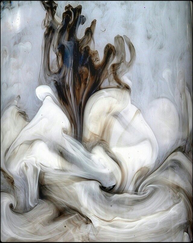 Yeni Sənətçi Kəşfi