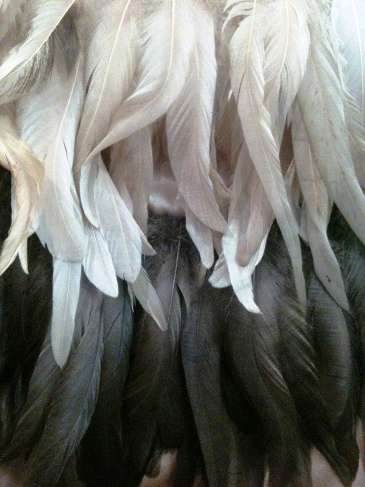 2025-ci ilin Ən Yaxşı Musiqi Alətləri və Proqramları