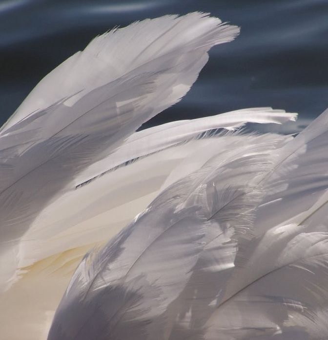 Rəqəmsal Musiqi Alətləri ilə Səsin Təkmilləşdirilməsi