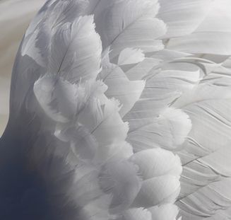  Yeni Fəaliyyətlər və Yeniliklər