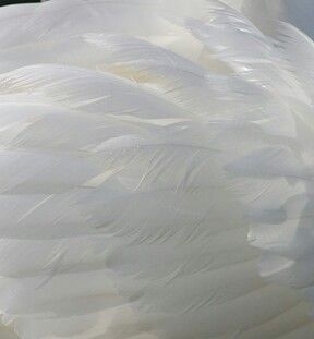 Musiqi Yaratmaq Üçün Ən Yaxşı Proqramlar və İpuçları