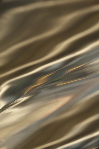 Rəqəmsal Musiqi və Sosial Mediya