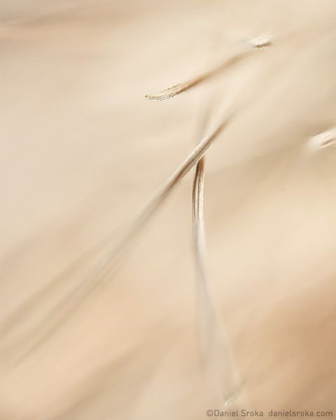 AI və Musiqinin Yeni Dövrü