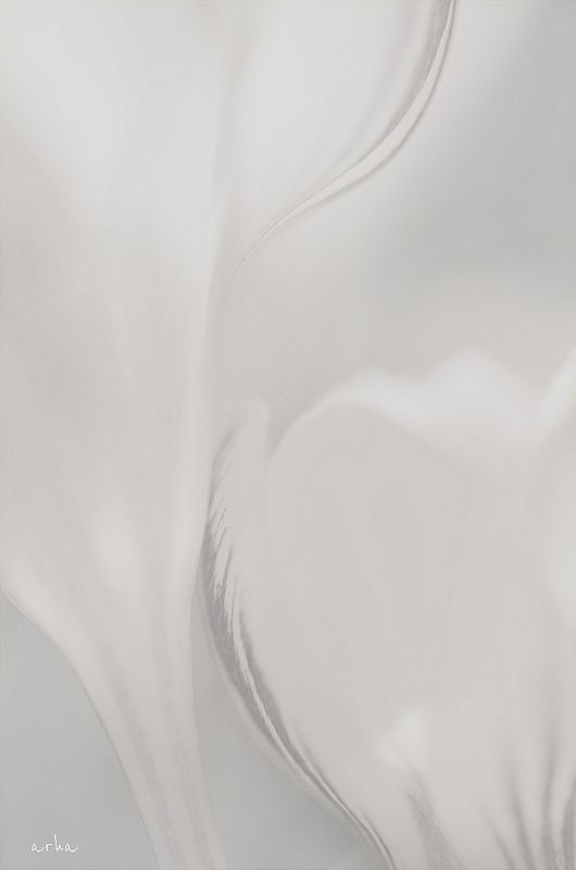 Musiqi Sənayesi üçün NFT-lərin Gələcəyi