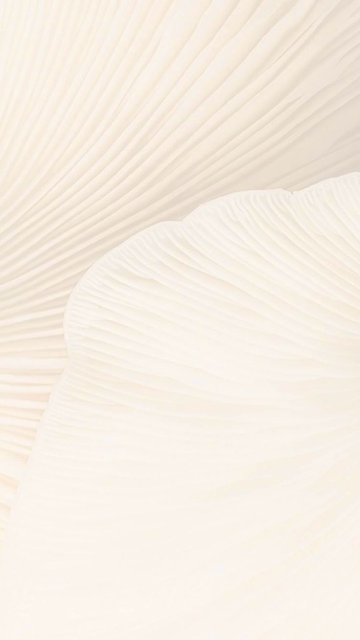 Musiqi Dərsləri və Onlayn Tədris Platformalarının Populyarlığı