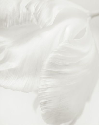 Proqramlı Musiqi və Parametrik Yaradılış