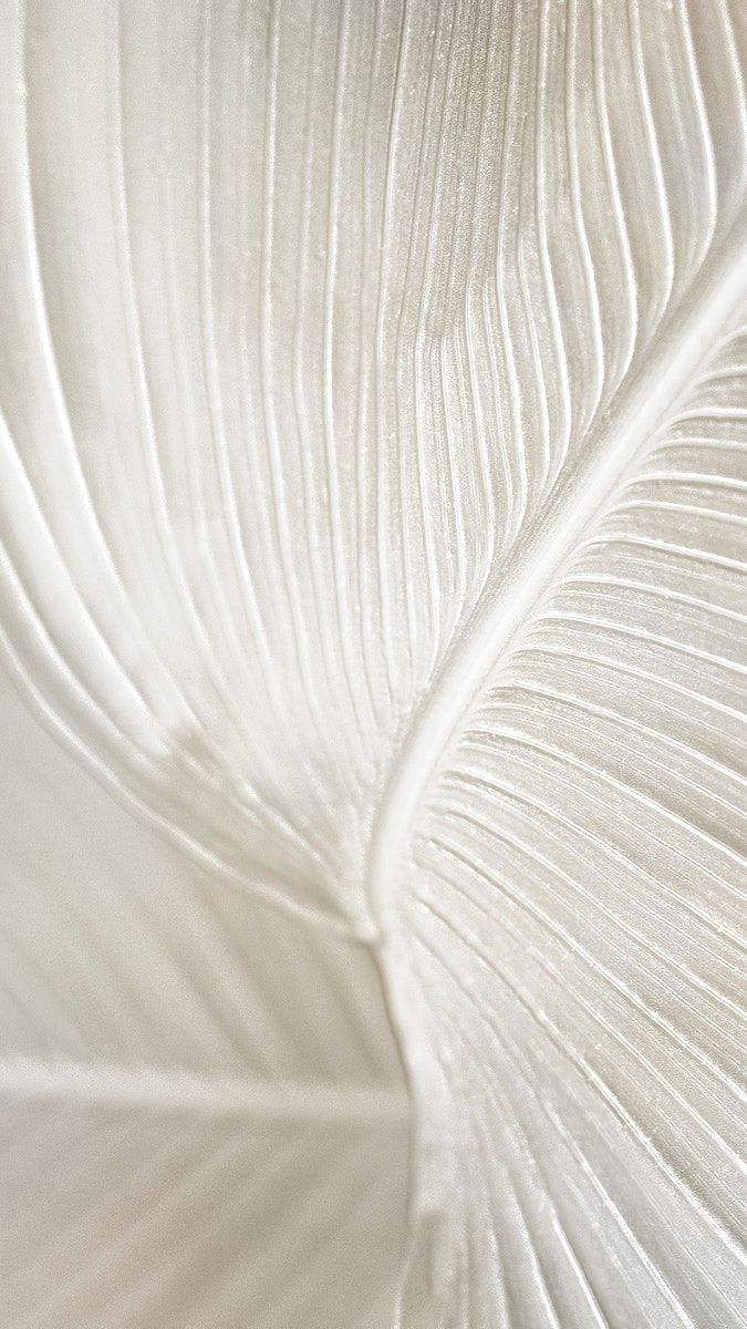 Rəqəmsal Musiqi Yaradıcıları Üçün Yeni Bəstələmə Texnologiyaları