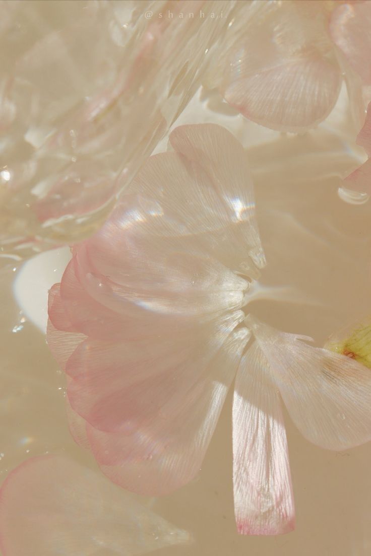 Musixmatch və Spotify