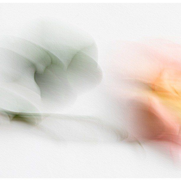 Rəqəmsal Musiqi və Cəmiyyət