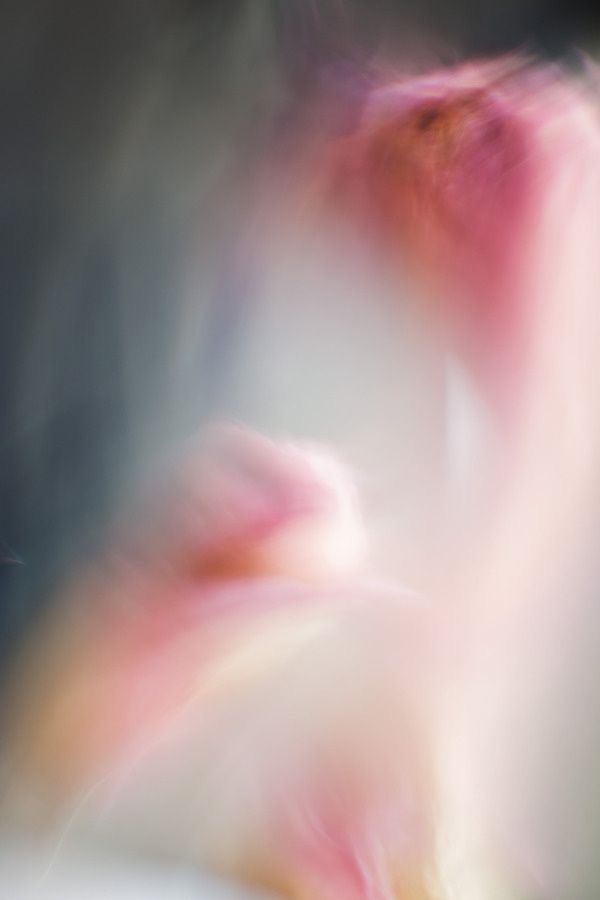 Musiqi Bazarında Kriptovalyutaların Yeni Yeri