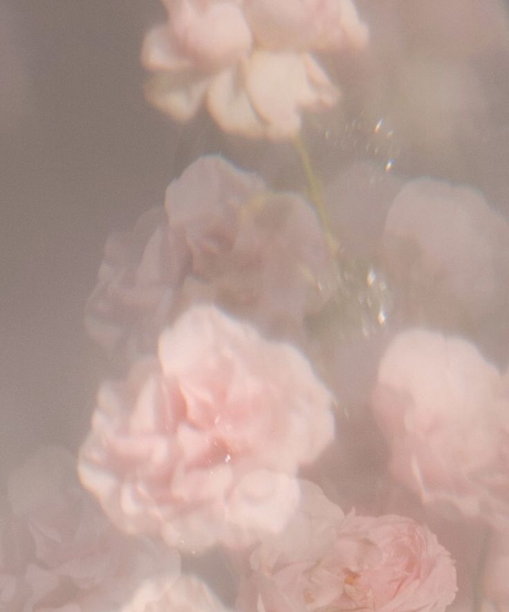 Streaming Xidmətləri və Musiqi Sənayesi