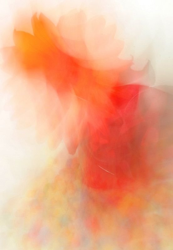 Unikal Yaradıcı Platformalar və Sərbəst Yayım