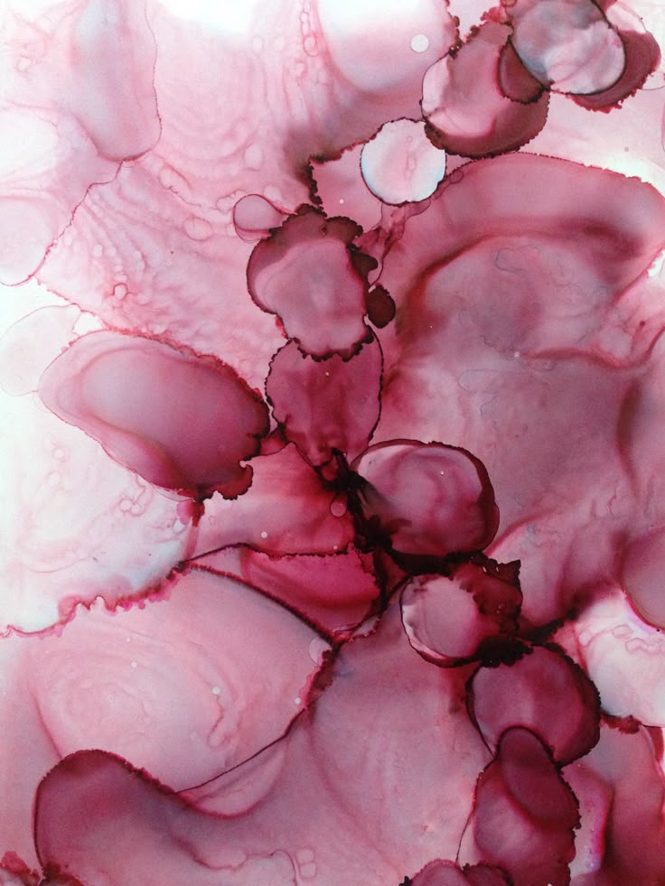 Rəqəmsal Musiqi Portalında Qazanılan Pul